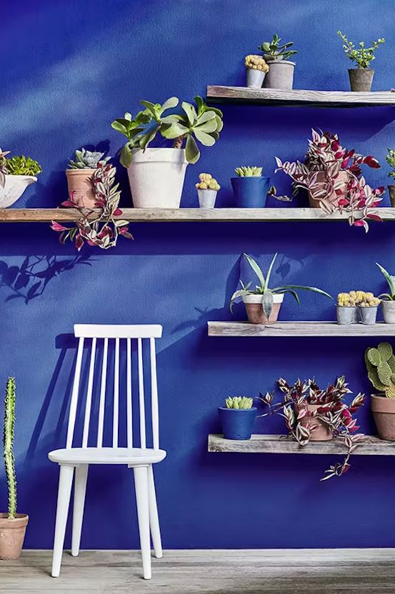 bleu Majorelle Et Autre Couleurs