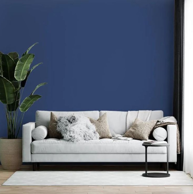bleu Saphir Et Blanc