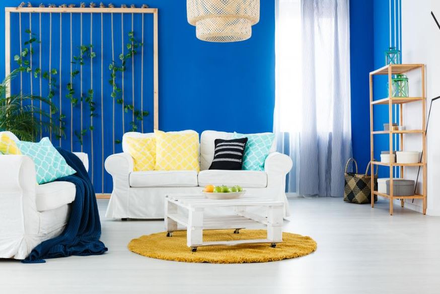 bleu électrique Et Jaune