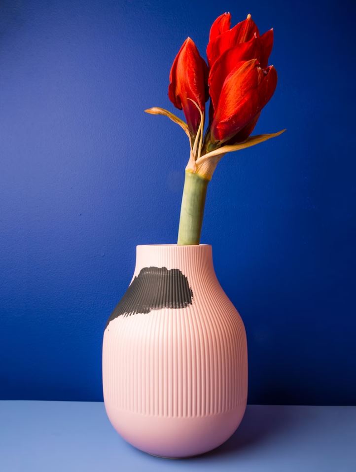 bleu Majorelle Et Rose