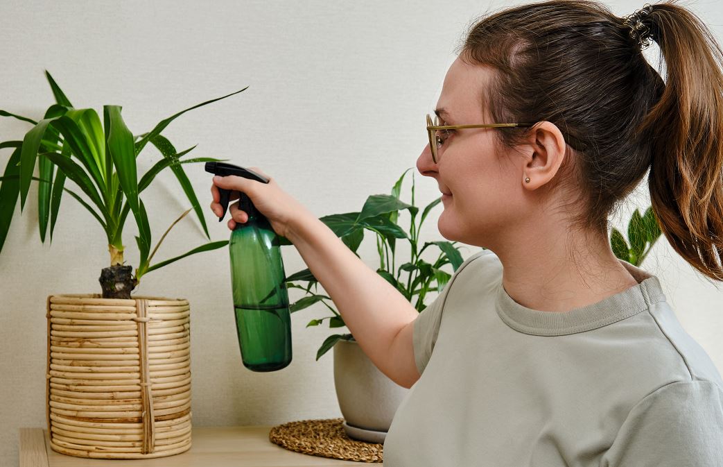 Femme Pulvérise De L'eau Sur Une Bouture De Yucca