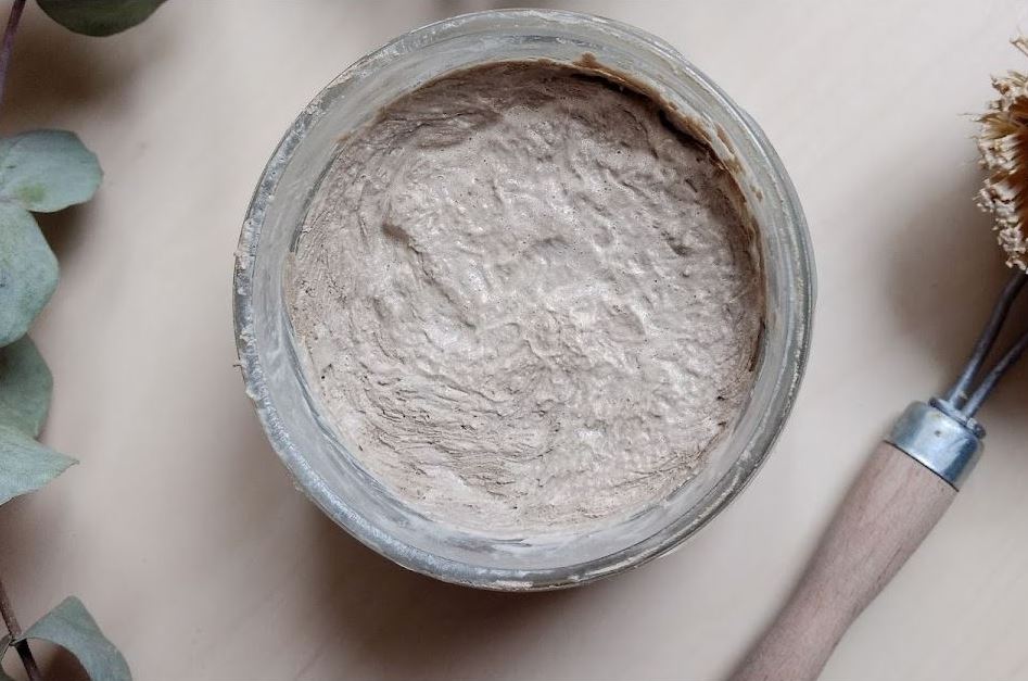 Pierre D'argile Dans Son Pot